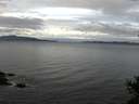 ./images/koeye/fitz-hugh/20141101/fitz-hugh20141101_105503.jpg