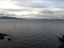 ./images/koeye/fitz-hugh/20141101/fitz-hugh20141101_111001.jpg
