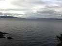 ./images/koeye/fitz-hugh/20141101/fitz-hugh20141101_111501.jpg