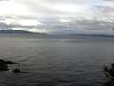 ./images/koeye/fitz-hugh/20141101/fitz-hugh20141101_112001.jpg