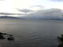 ./images/koeye/fitz-hugh/20141101/fitz-hugh20141101_113502.jpg
