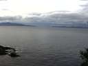 ./images/koeye/fitz-hugh/20141101/fitz-hugh20141101_114502.jpg