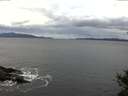 ./images/koeye/fitz-hugh/20141101/fitz-hugh20141101_120503.jpg
