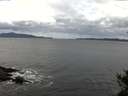 ./images/koeye/fitz-hugh/20141101/fitz-hugh20141101_121002.jpg