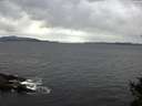 ./images/koeye/fitz-hugh/20141101/fitz-hugh20141101_123503.jpg