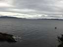 ./images/koeye/fitz-hugh/20141101/fitz-hugh20141101_132001.jpg