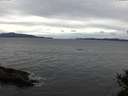 ./images/koeye/fitz-hugh/20141101/fitz-hugh20141101_132501.jpg