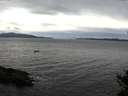 ./images/koeye/fitz-hugh/20141101/fitz-hugh20141101_133502.jpg