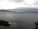 ./images/koeye/fitz-hugh/20141101/fitz-hugh20141101_134502.jpg