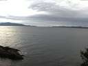 ./images/koeye/fitz-hugh/20141101/fitz-hugh20141101_140501.jpg