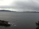./images/koeye/fitz-hugh/20141101/fitz-hugh20141101_145003.jpg