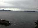 ./images/koeye/fitz-hugh/20141101/fitz-hugh20141101_145502.jpg