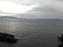 ./images/koeye/fitz-hugh/20141101/fitz-hugh20141101_152003.jpg