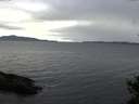 ./images/koeye/fitz-hugh/20141101/fitz-hugh20141101_154003.jpg