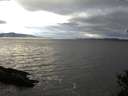 ./images/koeye/fitz-hugh/20141101/fitz-hugh20141101_161002.jpg