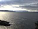 ./images/koeye/fitz-hugh/20141101/fitz-hugh20141101_162501.jpg