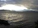 ./images/koeye/fitz-hugh/20141101/fitz-hugh20141101_164002.jpg