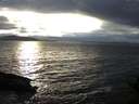 ./images/koeye/fitz-hugh/20141101/fitz-hugh20141101_165003.jpg