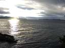 ./images/koeye/fitz-hugh/20141101/fitz-hugh20141101_165502.jpg