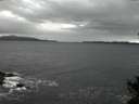 ./images/koeye/fitz-hugh/20141101/fitz-hugh20141101_183502.jpg