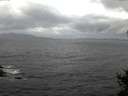 ./images/koeye/fitz-hugh/20141102/fitz-hugh20141102_072002.jpg
