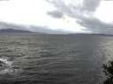 ./images/koeye/fitz-hugh/20141102/fitz-hugh20141102_074503.jpg