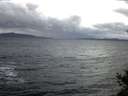 ./images/koeye/fitz-hugh/20141102/fitz-hugh20141102_075003.jpg