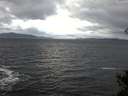 ./images/koeye/fitz-hugh/20141102/fitz-hugh20141102_080003.jpg