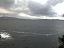 ./images/koeye/fitz-hugh/20141102/fitz-hugh20141102_081002.jpg