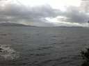 ./images/koeye/fitz-hugh/20141102/fitz-hugh20141102_081503.jpg