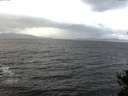 ./images/koeye/fitz-hugh/20141102/fitz-hugh20141102_082002.jpg