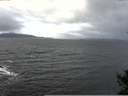 ./images/koeye/fitz-hugh/20141102/fitz-hugh20141102_082502.jpg