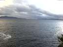 ./images/koeye/fitz-hugh/20141102/fitz-hugh20141102_085501.jpg