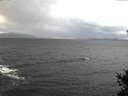 ./images/koeye/fitz-hugh/20141102/fitz-hugh20141102_090502.jpg