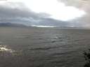 ./images/koeye/fitz-hugh/20141102/fitz-hugh20141102_091002.jpg