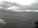 ./images/koeye/fitz-hugh/20141102/fitz-hugh20141102_093503.jpg