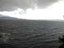 ./images/koeye/fitz-hugh/20141102/fitz-hugh20141102_101001.jpg