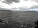 ./images/koeye/fitz-hugh/20141102/fitz-hugh20141102_110502.jpg