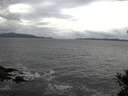 ./images/koeye/fitz-hugh/20141102/fitz-hugh20141102_114001.jpg