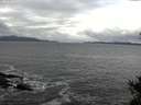 ./images/koeye/fitz-hugh/20141102/fitz-hugh20141102_114501.jpg