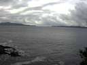 ./images/koeye/fitz-hugh/20141102/fitz-hugh20141102_115502.jpg