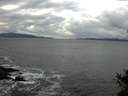 ./images/koeye/fitz-hugh/20141102/fitz-hugh20141102_120002.jpg