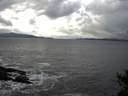 ./images/koeye/fitz-hugh/20141102/fitz-hugh20141102_121503.jpg