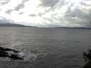 ./images/koeye/fitz-hugh/20141102/fitz-hugh20141102_122003.jpg