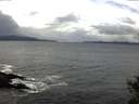./images/koeye/fitz-hugh/20141102/fitz-hugh20141102_123503.jpg