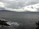 ./images/koeye/fitz-hugh/20141102/fitz-hugh20141102_130503.jpg