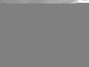 ./images/koeye/fitz-hugh/20141102/fitz-hugh20141102_131502.jpg