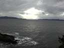 ./images/koeye/fitz-hugh/20141102/fitz-hugh20141102_140001.jpg