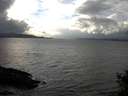 ./images/koeye/fitz-hugh/20141102/fitz-hugh20141102_145003.jpg