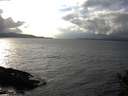 ./images/koeye/fitz-hugh/20141102/fitz-hugh20141102_145503.jpg